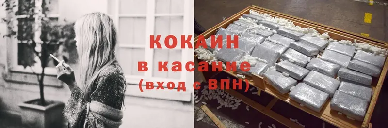 Кокаин FishScale  omg маркетплейс  Бийск 