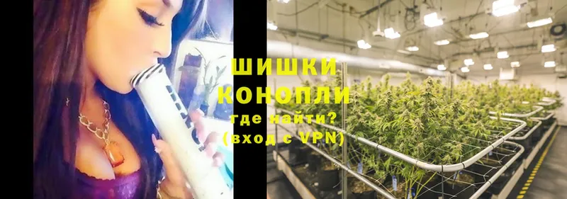 маркетплейс как зайти  Бийск  Бошки Шишки LSD WEED  купить закладку  ОМГ ОМГ сайт 